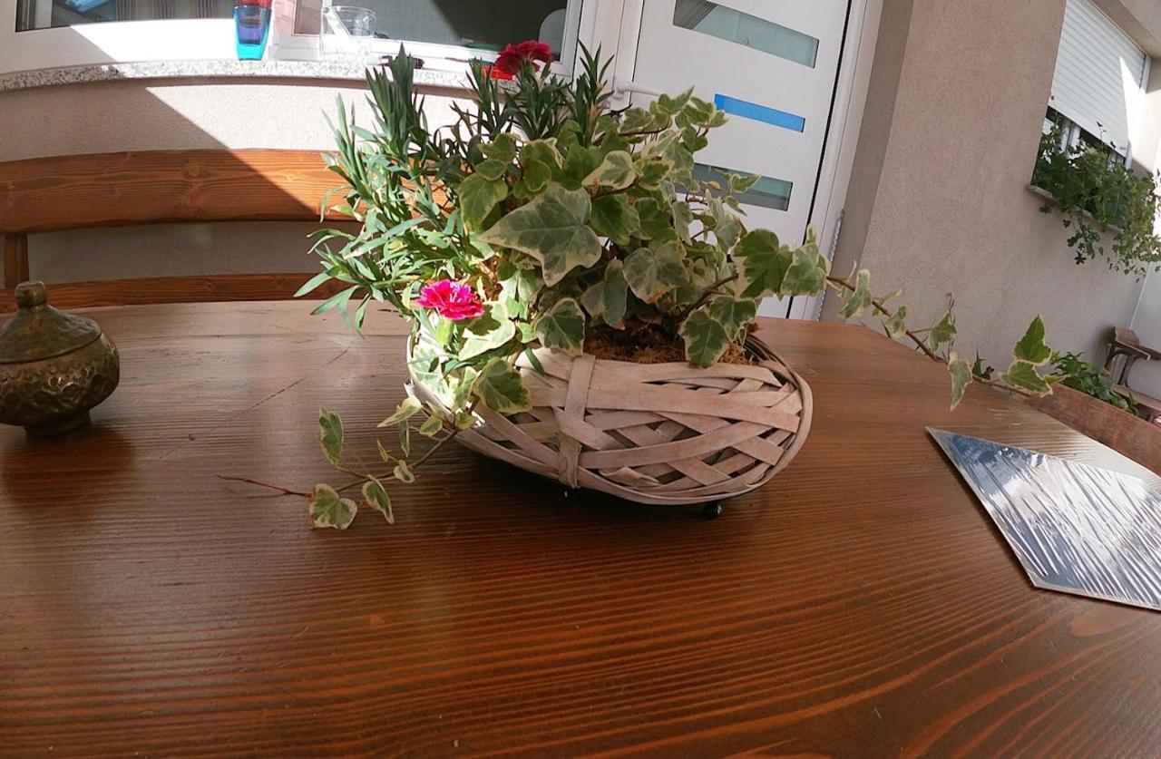 Appartement Tiktok à Zadar Extérieur photo
